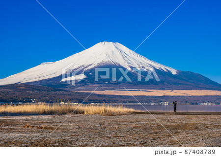 山中湖から眺める冬の富士山　朝景 87408789