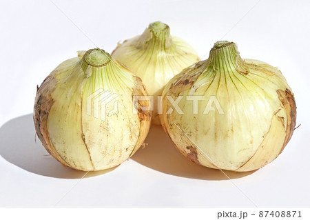 新たまねぎ 87408871