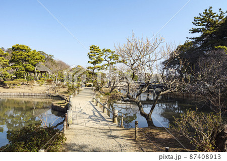 神奈川県横浜市中区本牧三渓園の早春 87408913