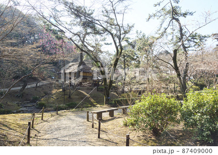 神奈川県横浜市中区本牧三渓園の早春 87409000