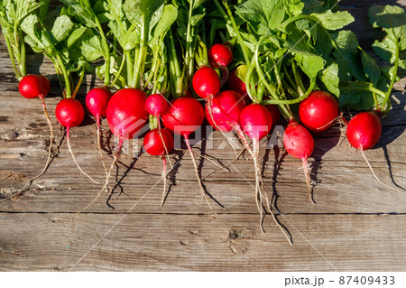 Fresh red radish with leaves on rustic wooden table. Top view 87409433