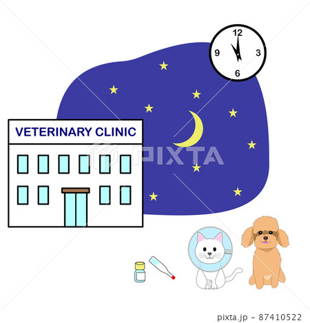夜間開業の動物病院とエリザベスカラーをつけた猫とトイプードルの挿し絵 87410522