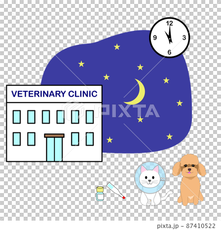 夜間開業の動物病院とエリザベスカラーをつけた猫とトイプードルの挿し絵 87410522