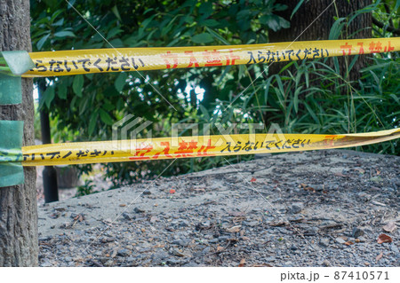 立入禁止を知らせるテープ。規制線のイメージ。 87410571