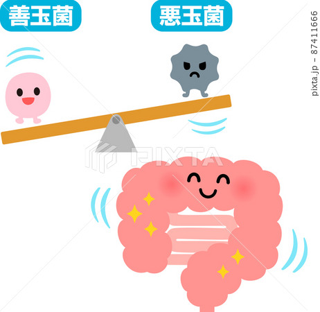 善玉菌が優勢な腸のキャラクター、腸内環境 善玉菌が優勢な腸のキャラクター、腸内環境 87411666