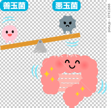 善玉菌が優勢な腸のキャラクター、腸内環境 善玉菌が優勢な腸のキャラクター、腸内環境 87411666