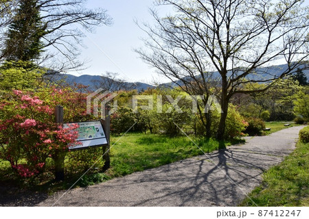 箱根町　箱根ビジターセンター周辺散策路と観光案内板と新緑 87412247