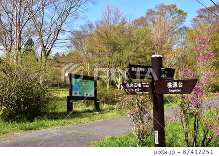 箱根町 箱根ビジターセンター周辺散策路と道案内と新緑 箱根町 箱根ビジターセンター周辺散策路と道案内と新緑 87412251