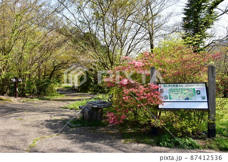 箱根町　箱根ビジターセンター周辺散策路と観光案内板と新緑 87412536