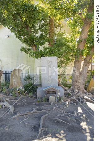 和田塚 和田塚 87412876