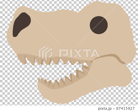 霸王龍頭骨 87415927