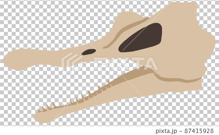 Dinosaur skull 87415928