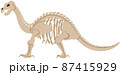 恐竜の骨格 87415929
