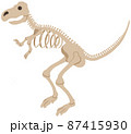 ティラノザウルスの骨格 87415930
