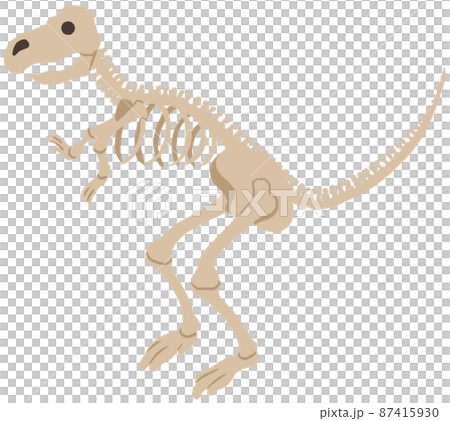 Tyrannosaurus skeleton Tyrannosaurus skeleton 87415930