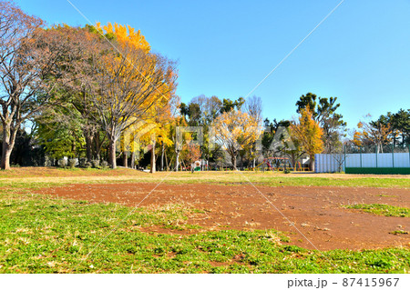 善福寺川緑地／仲よし広場(東京都杉並区)【2021.12】 87415967