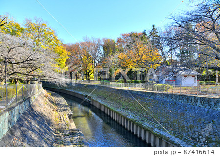 善福寺川緑地/せきれい橋/善福寺川より下流方向を望む(東京都杉並区)【2021.12】 善福寺川緑地/せきれい橋/善福寺川より下流方向を望む(東京都杉並区)【2021.12】 87416614