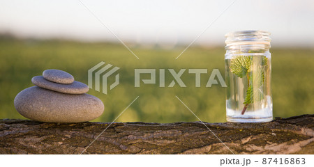 Pyramid of the small pebbles and fresh herb. Copy speace Pyramid of the small pebbles and fresh herb. Copy speace 87416863