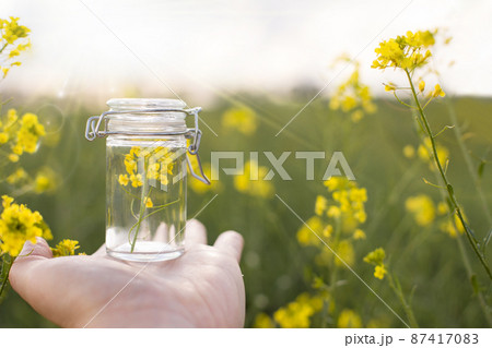 Rapeseed oil (canola) and rape flowers. Copy speace. 87417083