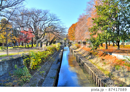 善福寺川緑地／天王橋／善福寺川より上流方向を望む(東京都杉並区)【2021.12】 87417089
