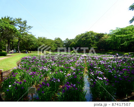 菖蒲池 87417507