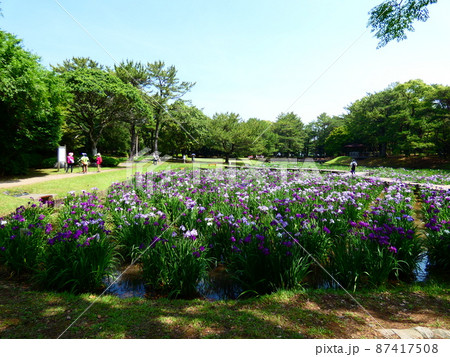 菖蒲池 菖蒲池 87417508