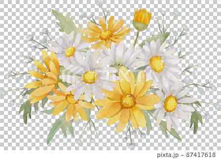 Watercolor Daisy Flower Watercolor Daisy Flower 87417618