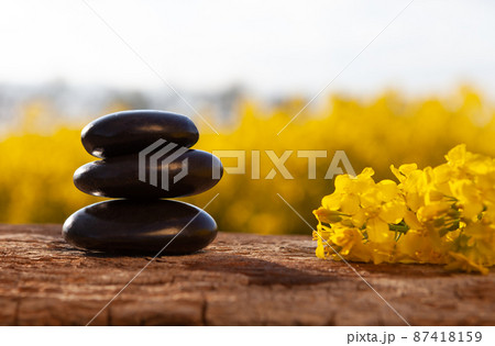 Harmony and balance - speace for text. Harmony and balance - speace for text. 87418159