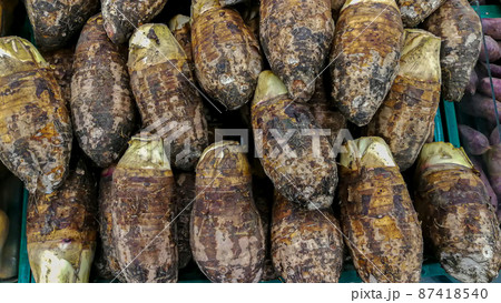 Agriculture, Asia, Boredom, Brown, Bud Agriculture, Asia, Boredom, Brown, Bud 87418540
