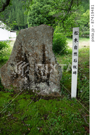 玖珠郡（九重町）　松木自然石板碑 87419481
