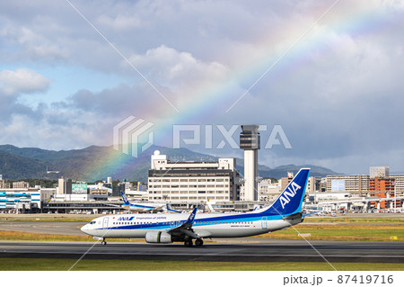 大阪空港に着陸する旅客機・全日空・ボーイング737 87419716