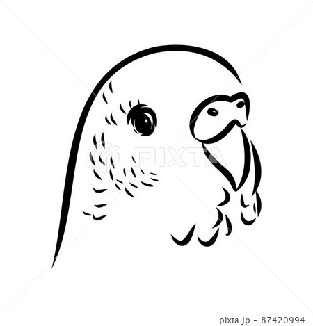 A cute budgie sits on a perch. Vector sketch illustration for design, advertising, prints. A cute budgie sits on a perch. Vector sketch illustration for design, advertising, prints. 87420994