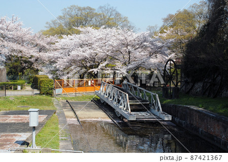 春の琵琶湖疏水　京都市左京区 87421367