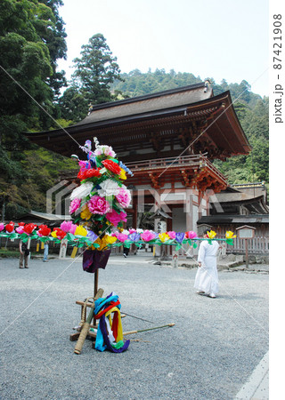 春の日吉大社　山王祭　西本宮楼門　滋賀県大津市 87421908