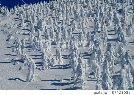 山形蔵王　樹氷原のスノーモンスターをロープウェイから俯瞰する 87423085