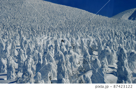 山形蔵王　樹氷原のスノーモンスターをロープウェイから俯瞰する 87423122