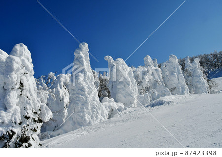 山形蔵王スキー場　ユートピアゲレンデの樹氷 87423398