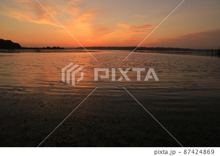 印旛沼の朝焼けの風景 印旛沼の朝焼けの風景 87424869