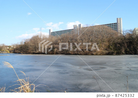 仙台市宮城野区　冬の鶴ヶ谷中央公園周辺　大堤 87425332