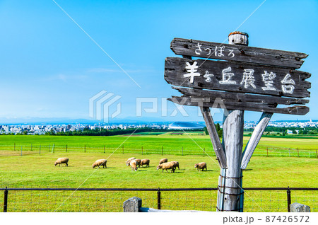 北海道札幌市　さっぽろ羊ヶ丘展望台 87426572
