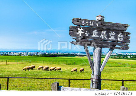北海道札幌市　さっぽろ羊ヶ丘展望台 87426573