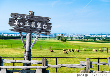北海道札幌市 さっぽろ羊ヶ丘展望台 北海道札幌市 さっぽろ羊ヶ丘展望台 87426578