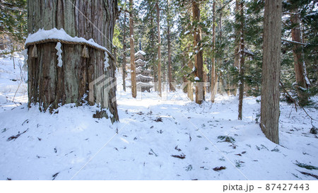 冬晴れの羽黒山 爺杉と五重塔 山形県 冬晴れの羽黒山 爺杉と五重塔 山形県 87427443