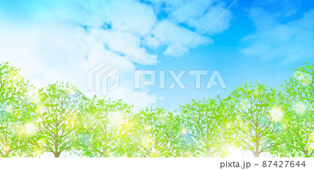 新緑 葉 木 背景 新緑 葉 木 背景 87427644
