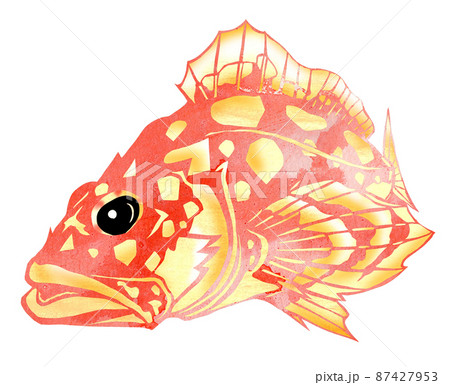 不細工でも美味しい魚カサゴ4 87427953