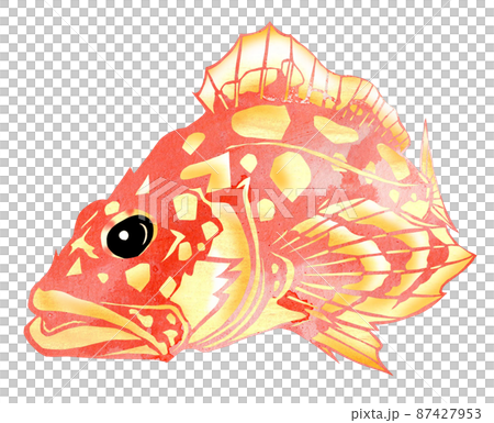 不細工でも美味しい魚カサゴ4 87427953