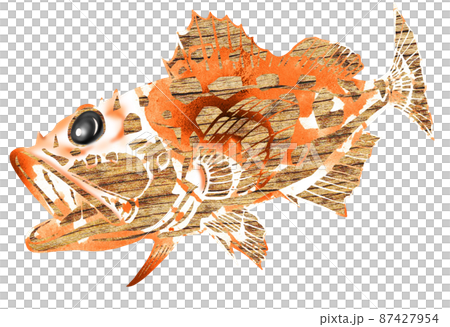 吃美味的魚蝎子魚4 吃美味的魚蝎子魚4 87427954