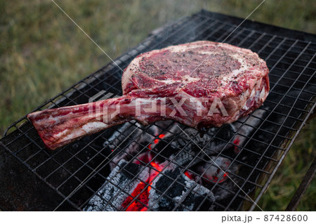 Vegetables and meat on the grill on hot coals with smoke Vegetables and meat on the grill on hot coals with smoke 87428600