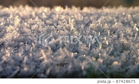 朝陽に輝く霜の結晶 朝陽に輝く霜の結晶 87428675