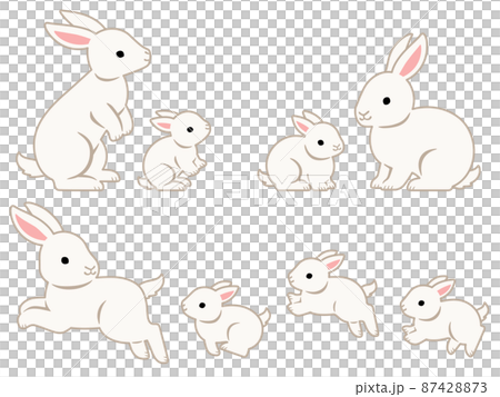 大白兔親子圖集(站/坐/跑) 大白兔親子圖集(站/坐/跑) 87428873